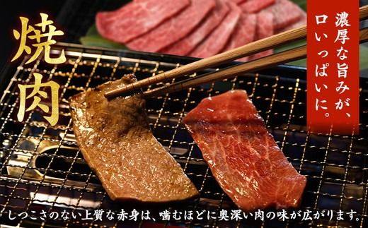 京都いづつ屋 厳選 ブランド和牛 亀岡牛 赤身 焼肉用 300g≪訳あり 和牛 黒毛和牛 牛肉 冷凍 焼肉 ふるさと納税牛肉≫
