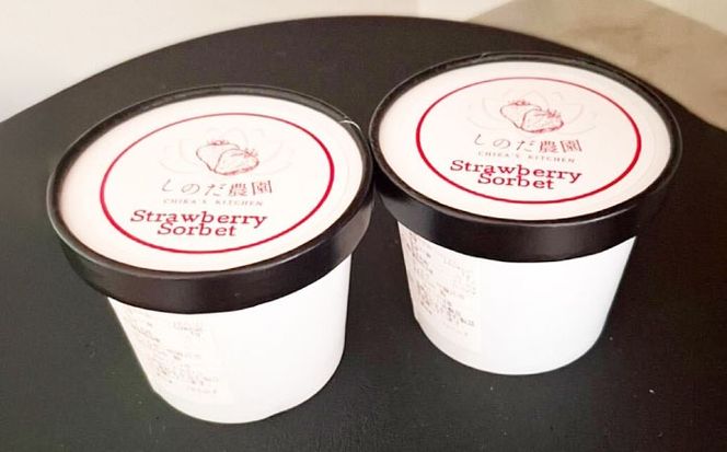いちごソルベ いちご アイス ジェラート 愛西市 / しのだ農園-SHINODA FARM-[AECE007]