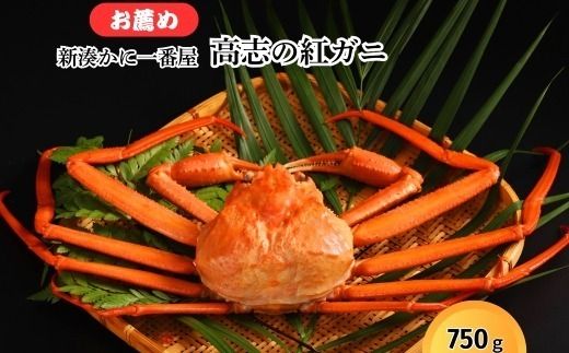新湊かに一番屋【お薦め】高志の紅ガニ750g ズワイガニ 紅ずわいがに カニ 蟹 富山県 射水市　※2025年10月上旬～2026年4月中旬頃に順次発送予定　※北海道・沖縄・離島への配送不可