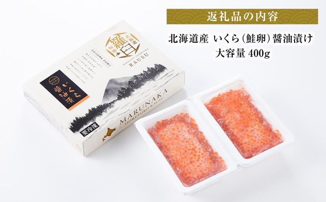北海道産 いくら（鮭卵）醤油漬け400g(200g×2パック) 個魚介類 北海道 海産物 魚介 小分けパック 生産者 支援 応援 016942_AP008