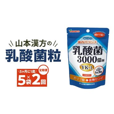 [5ヶ月に1度、2回送付]乳酸菌粒[027Y25-T] 山本漢方 定期便