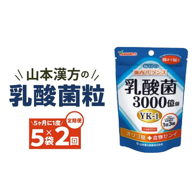 ＜5ヶ月に1度、2回送付＞乳酸菌粒［027Y25-T］　山本漢方　定期便