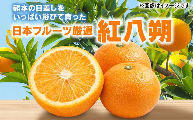 【先行予約】 【訳あり】 紅八朔 約8kg 八朔 はっさく ハッサク 柑橘 果物 くだもの フルーツ 熊本県 八代市 【2027年1月下旬より順次発送】
