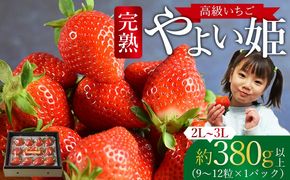 ＜高級いちご「やよい姫」（9～12粒×1パック 約380g以上）＞2025年1月上旬～4月末迄に順次出荷【a0326_sn_x1】