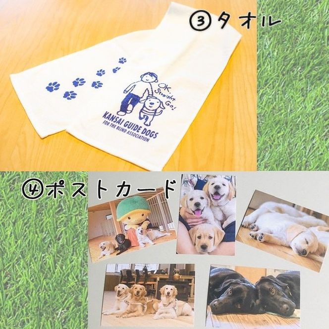 【返礼品相当額で盲導犬の育成を支援】支援額4,500円(記念品あり)エコバッグなど盲導犬協会オリジナルグッズ進呈[行きたい場所に安心していける社会に…]