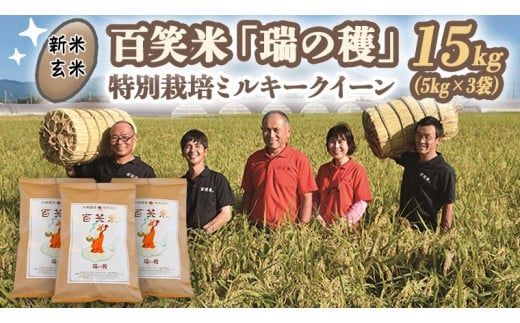 【 玄米 】 百笑米 「 瑞の穫 」 特別栽培 ミルキークイーン 15kg (5kg×3袋)  R7年産 米 コメ 茨城県 単一米 [AC020ci]