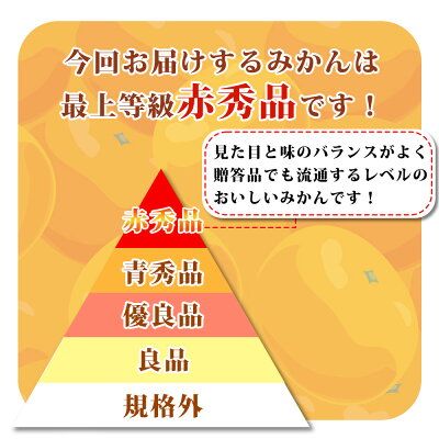 G6029_紀州和歌山 ハウスみかん 2.5kg 赤秀品