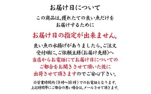 旬の鮮魚詰合せ 8～9種 下処理済み 旬 獲れたて 鮮魚 刺身用 詰合せ セット 海産物 海の幸 魚 魚介 おかず おつまみ 肴 国産 食品 復興 震災 コロナ 能登半島地震復興支援 北陸新幹線 F6P-0039