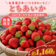 【先行予約】いちご 厳選！さくら市産 とちあいか（290g×4パック） ※2027年1月～発送