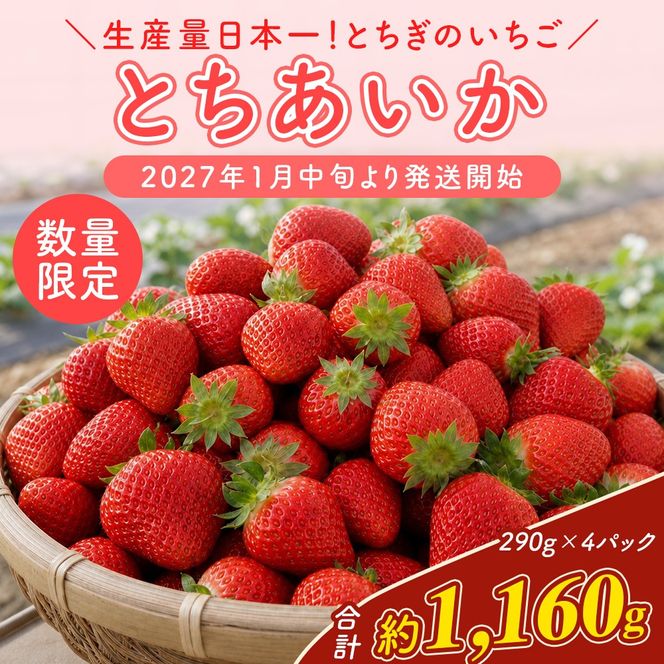 【先行予約】いちご 厳選！さくら市産 とちあいか（290g×4パック） ※2027年1月～発送
