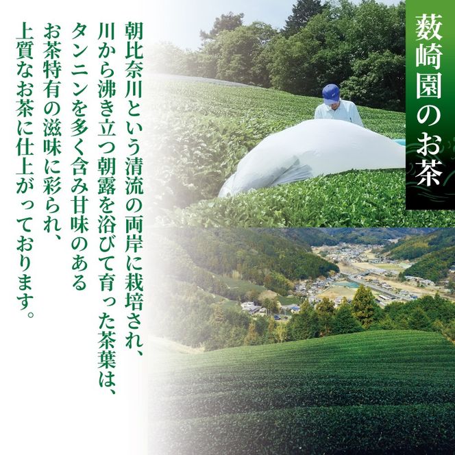 お茶 玉露 80g × 1袋 有機 オーガニック 日本 茶 飲料 飲み物 静岡茶 日本茶 国産 緑茶 静岡県 藤枝市