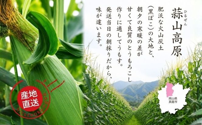 【先行予約】 朝採れ 蒜山高原 とうもろこし ミックス20本 | 7月下旬～8月上旬頃出荷予定 数量限定 人気 朝採り 新鮮 スイートコーン トウモロコシ 高糖度 甘い 夏野菜 岡山県 真庭市 産地直送 ギフト 【配送不可地域：北海道／沖縄県／離島】【jujy004-02】