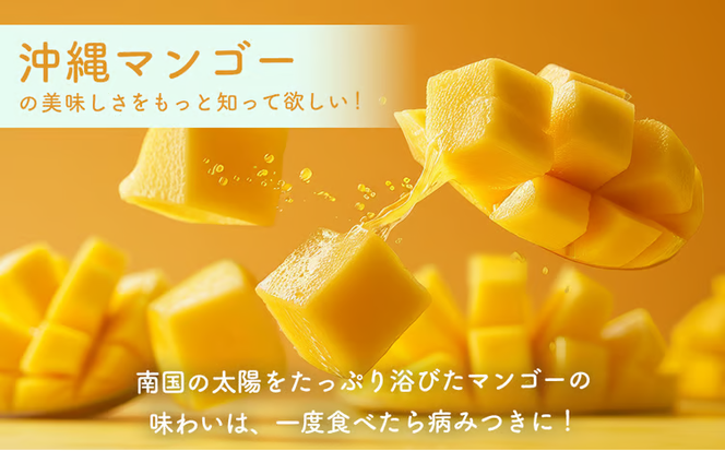 ハナトフルーツ 沖縄県産マンゴーA品 ２ｋｇ 【 先行予約 2026年発送 】