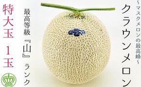 ★発送月選択できる返礼品★ 『クラウンメロン（山等級）特大玉  1玉』 ギフト箱入り メロン 人気 厳選 ギフト 贈り物 デザート グルメ  袋井市