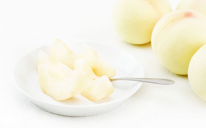 フルーツ 定期便 2026年 先行予約 フルーツ王国 岡山を堪能 5回コース 桃 もも 葡萄 ぶどう 梨 なし岡山県産 国産 果物 セット ギフト 柔らかい マスカット 甘い 酸味 高級 香り 風味 