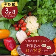 【定期便】淡路島の旬の野菜セット 3ヶ月コース　野菜詰め合わせ