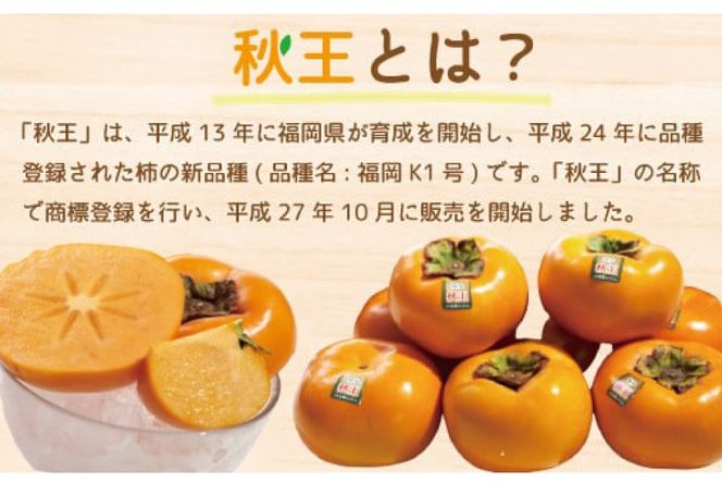 柿 秋王 4-6玉 約 1.5kg 【期間限定発送】 [南国フルーツ 福岡県 宇美町 um40azo970028] 先行予約 福岡県産 あきおう かき フルーツ 果物 くだもの 果実 甘い あまい