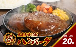 宮崎県産黒毛和牛100%ハンバーグ120ｇ×20個 K16_0161