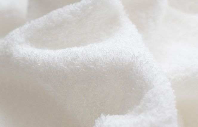 G2113 【スピード発送】ファミーユ ミニバスタオル 10枚【フェイスタオル 以上 バスタオル 未満 泉州タオル 吸水 普段使い シンプル 日用品 たおる】