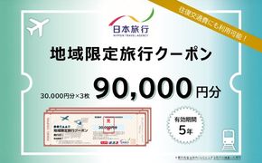 沖縄県沖縄市 日本旅行 地域限定旅行クーポン 9万円分 旅行券 チケット 宿泊券 プレゼント ギフト 90000円 沖縄市 / 株式会社日本旅行[BCAC004]