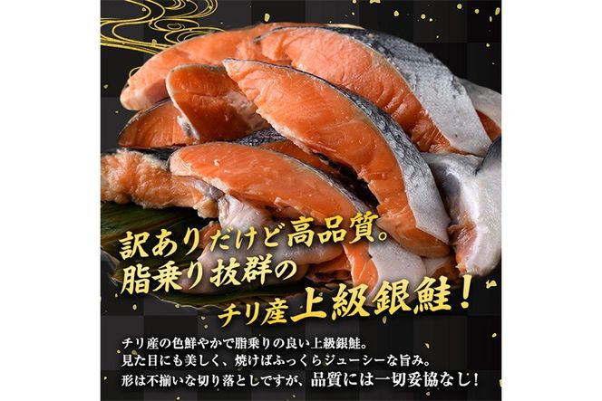 y{茧쒬z󂠂聄 É ؂藎Ƃ (1kgE500g×2)  ؂g  CN    Ⴏ ؐg Jbg Ă ȒP tC  CN Ⓚ ٓ  yKI-20zyC`}HiHz