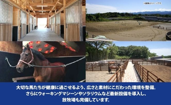 乗馬クラブ ステーブルホースパワー クーポン券 15,000円分 体験 チケット スポーツ 趣味 ウマ 馬 動物 体験乗馬 乗馬レッスン レジャー アウトドア ギフト 贈り物 埼玉県 鳩山町