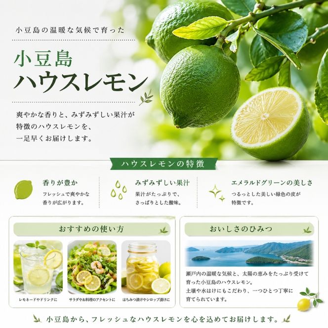 【 小豆島 】小豆島ハウスレモン 約2kg 果物類 フルーツ 柑橘類 檸檬 