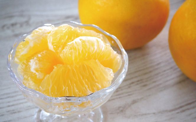 贈答用 河内晩柑 樹齢 30年以上 7.5kg （ サイズ ミックス ） 13000円 みかん mikan 蜜柑 ミカン かわちばんかん 愛南ゴールド あいなん ゴールド 文旦 派生 グレープフルーツ 和製 産地直送 国産 農家直送 期間限定 数量限定 特産品 ゼリー ジュース アイス 等に 人気 さわやか 甘い フルーツ 果物 柑橘 ギフト プレゼント 小玉 含む 果樹園みどり 愛南町 愛媛県