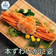 19-107 本ずわいがに姿 大型サイズ2杯 約600～800g
