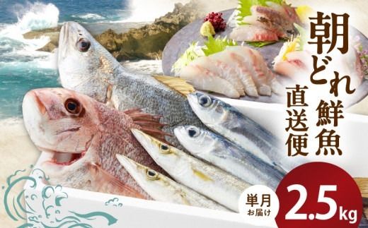 y{茧szyP͂zaC̒ǂNց@2.5kg N072-YA3340
