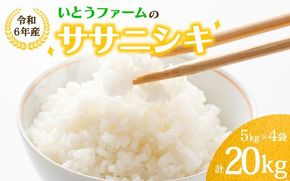 いとうファームの 令和6年産 「ササニシキ」 20kg （5kg×4袋） / 米 お米 精米 白米 ご飯 産地直送