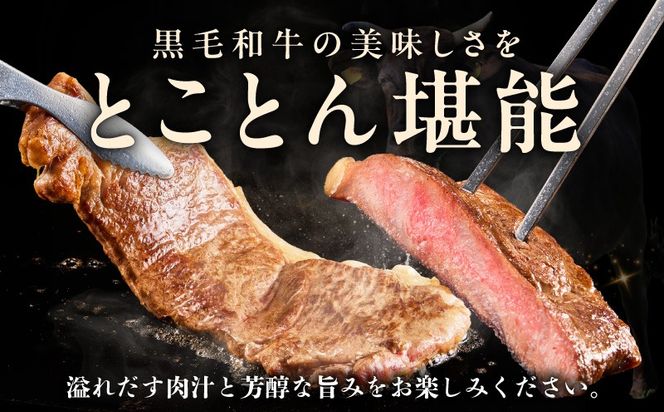 G3644-2 A5/A4ランク 黒毛和牛 サーロインステーキカット 合計4kg（250g×16P） + 圧倒的企業努力 サーロインステーキ 250g【極味付け肉】