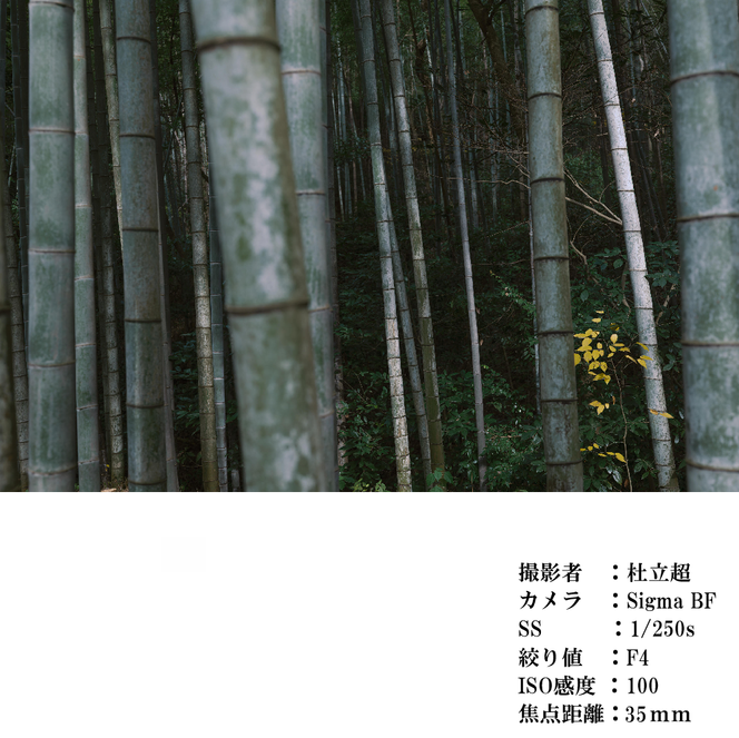 SIGMA 35mm F1.4 II | Art【Lマウント】カメラ　レンズ