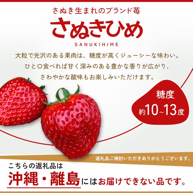 いちご さぬきひめ 訳あり 香川県オリジナル品種 1.2kg 不揃い 小粒 加工用 ジャム スムージー ソース スイーツ 苺 さぬき姫 ストロベリー フルーツ 果物 くだもの 冷蔵 お取り寄せ 五色青果 香川県 東かがわ市 46312611