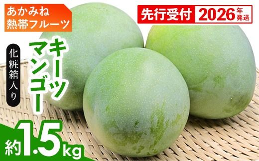 yꌧdzyϔzystE2026Nz݂˔Mуt[c̃L[c}S[1.5kg - s\ ꌧY Yn 썑t[c {̖o G߂̉ʕ 󏭎 ϔ Mtg ꌧ d