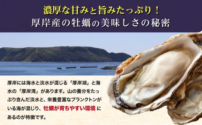 定期便 3ヶ月 北海道 厚岸産 牡蠣 Lサイズ 20個 (各回20個×3ヶ月分,合計60個) 殻付き 生食 カキナイフ付き かき カキ 生牡蠣 魚介類 貝 マルえもん