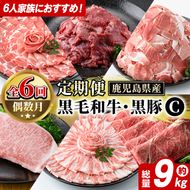 ＜定期便・全6回(偶数月)＞6人家族用！鹿児島県産 黒毛和牛・黒豚 定期便 C (総量約9kg) 国産 黒豚 しゃぶしゃぶ 肩 ロース スライス 訳あり 切り落とし 黒毛和牛 サーロイン ステーキ 黒豚 バラ カタ ウデ 小分け セット 【スターゼン】akn042-39