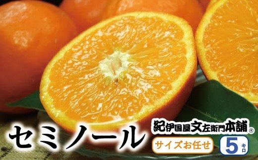 セミノール オレンジ 5kg サイズおまかせ / みかん 柑橘 果物 蜜柑 フルーツ 紀伊国屋文左衛門本舗 ※2027年4月中旬～5月下旬頃順次発送予定(お届け日指定不可) 【kmtb016-r-5A】