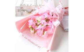 春色スイートピー 春のお花 スイートピー ピンク系 花束 門出 誕生日 結婚 ウエディング ギフト お祝い プレゼント 花 フラワー 送別会 退職祝い 結婚記念日 送別 香り 春の花 272230_BG096