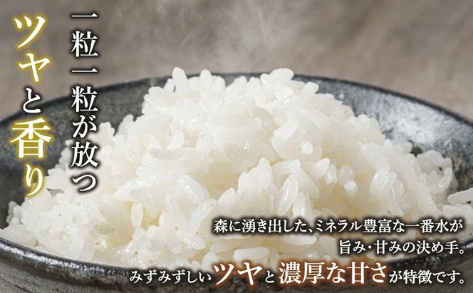 【令和8年産】＼ 2026年11月より6回 ／ 極上のコシヒカリ 七〇八米（なおやまい）　【黒】定期便 10kg×6回  (By-013-11)
