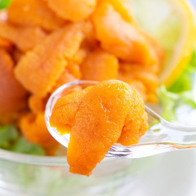 18-91 冷凍エゾバフンウニ100g