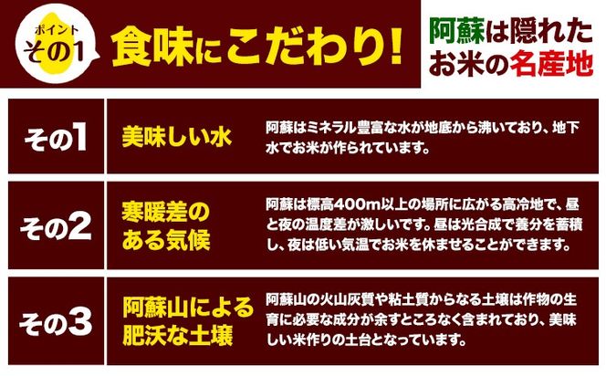 令和6年産 無洗米 も 選べる こしひかり 白米 or 無洗米 選べる精米方法 内容量 5kg 10kg 15kg 20kg 白米 精米 無洗米 熊本県産(南阿蘇村産含む) 単一原料米 南阿蘇村《7-14営業日以内に出荷予定》---mna_kh6_wx_24_12000_5kg_h---