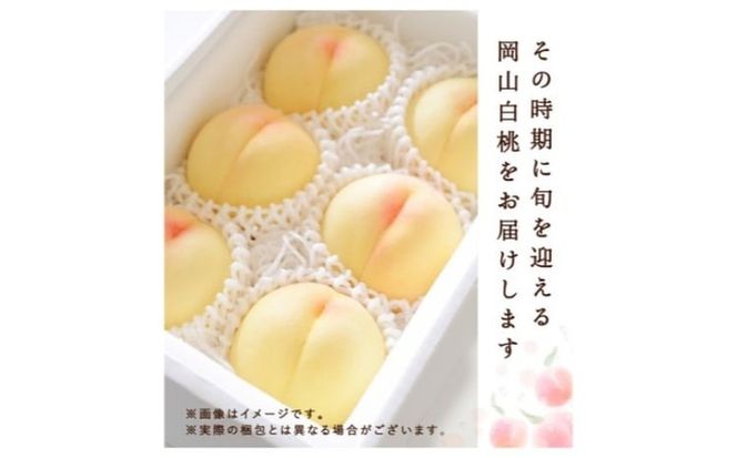 桃 2026年 先行予約 白桃 3玉(約750g)等級：ロイヤル 化粧箱入り もも モモ 岡山県産 国産 フルーツ 果物 セット ギフト[№5735-3264]