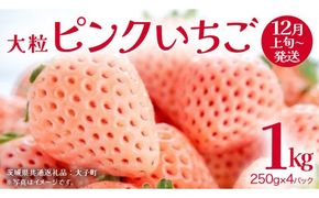ピンクいちご 大粒 250g（8～12粒）×4パック【2026年12月上旬発送開始】(茨城県共通返礼品：大子町) いちご 苺 果物 フルーツ 果実