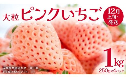 ピンクいちご 大粒 250g（8～12粒）×4パック【2026年12月上旬発送開始】(茨城県共通返礼品：大子町) いちご 苺 果物 フルーツ 果実