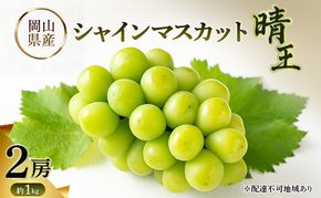 シャインマスカット晴王 岡山県産 約1kg(2房) 果物 フルーツ ぶどう ブドウ 葡萄 国産 岡山
