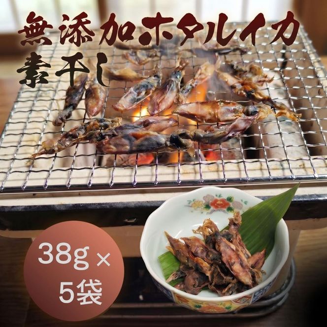 無添加 ホタルイカ素干し 38g×5袋 魚貝類 ホタルイカ イカ 海鮮 干物 おつまみ 肴 加工食品  myz02 myz11 myz17