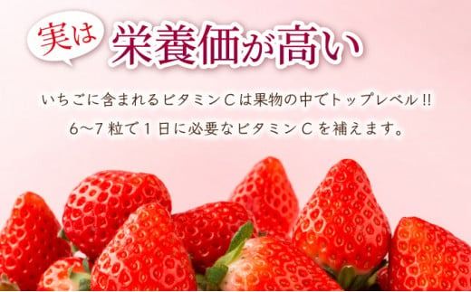 《先行予約》240g×4P 佐賀県産いちご「いちごさん」 計960g!【先行予約】2025年1月中旬より発送 A-66-AS