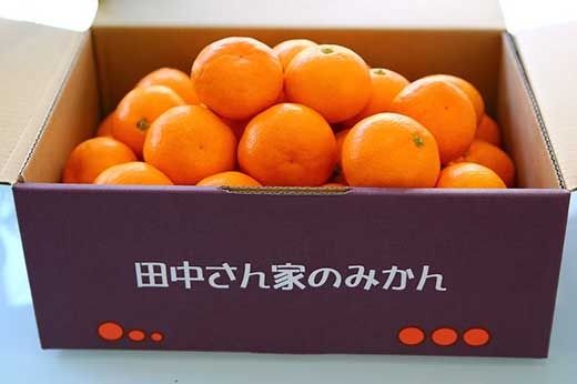 こだわり手詰め　有田みかんLサイズ（4.7kg）  	BU14