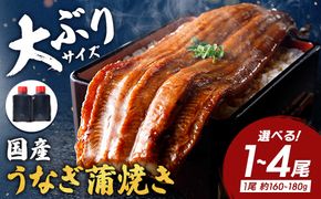 【一度食べたらやみつき！リピート多数】うなぎ蒲焼１尾【D008W】